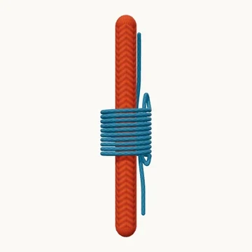 Common Whipping