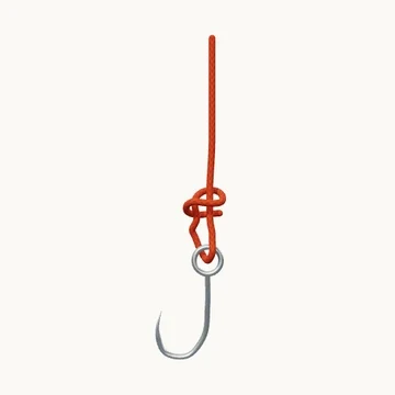 Davy Knot